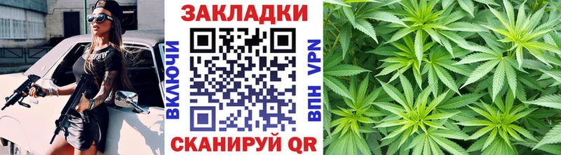Где найти наркотики Берёзовка Марихуана  OMG как зайти  ГАШИШ  Меф мяу мяу  A PVP 