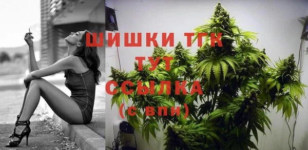 МДПВ Абинск